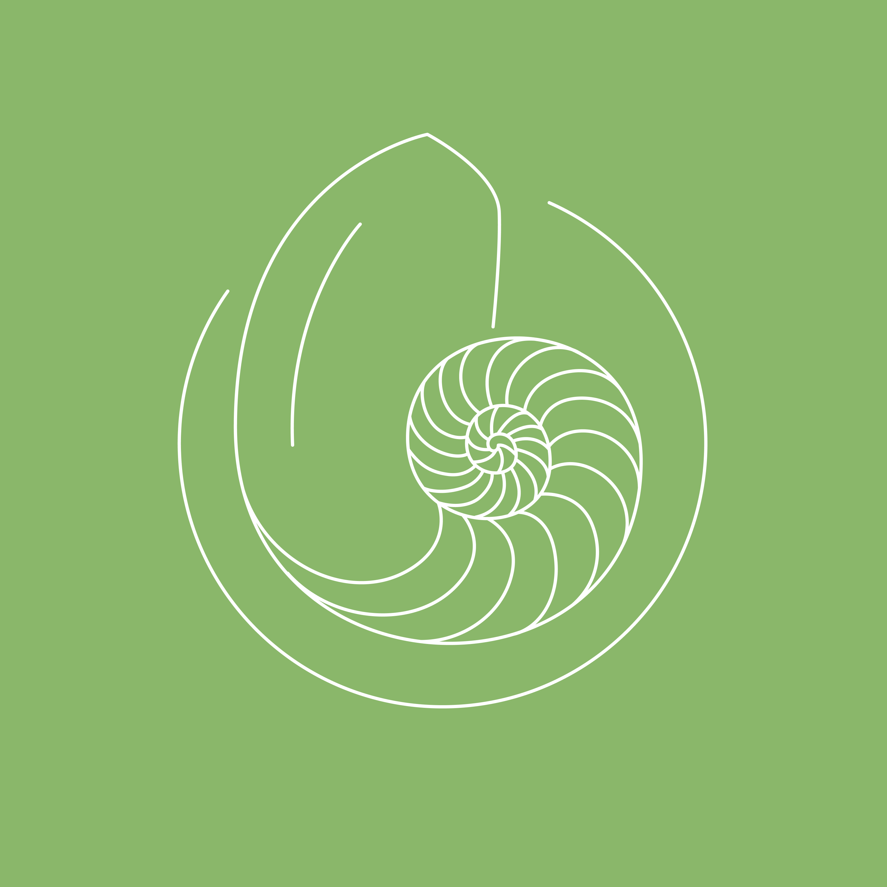 Lesson 3 — Divine Design (January 11-17) Lesson 3 — Divine Design (January 11-17)