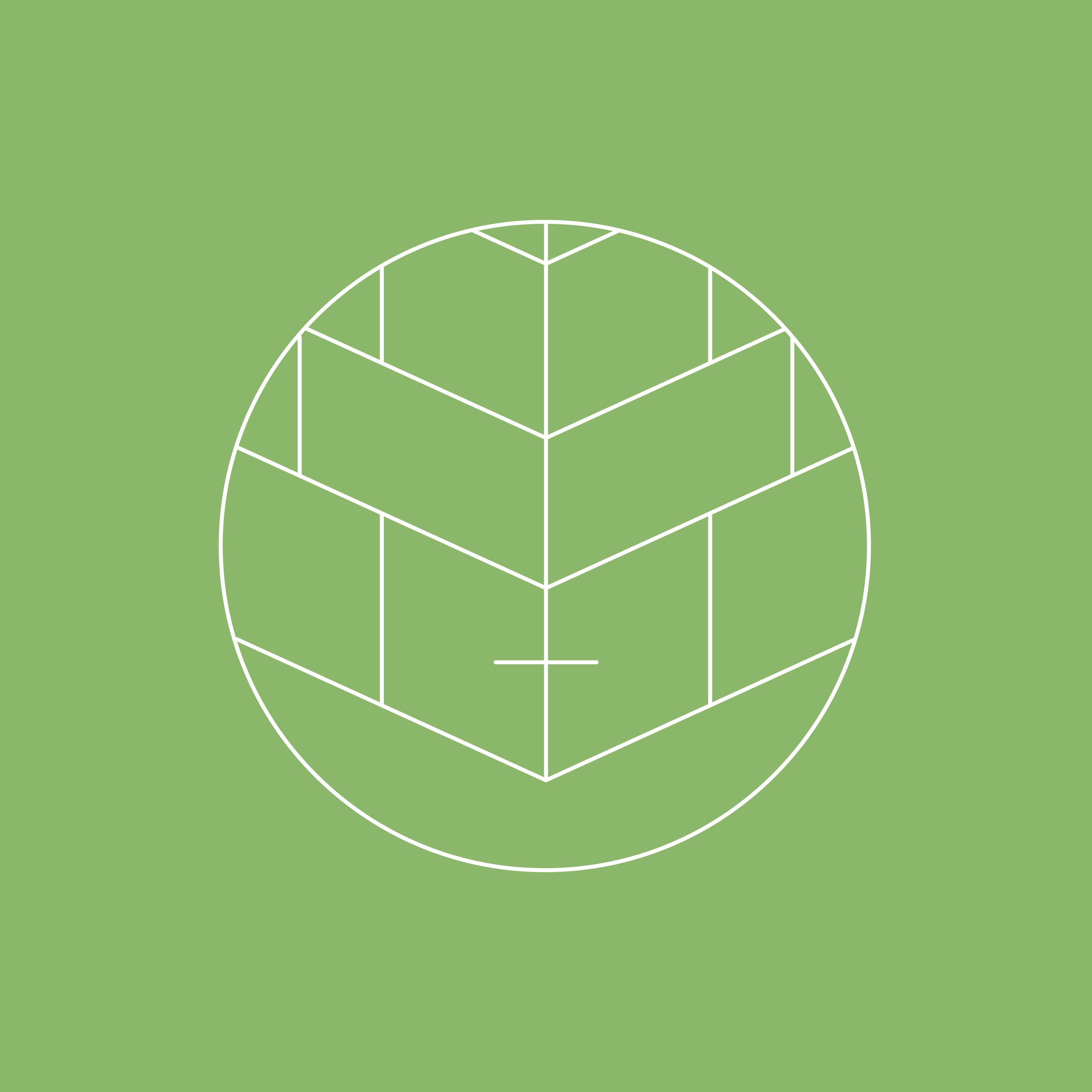 Lesson 7 — Jesus and Islam (February 8-14)